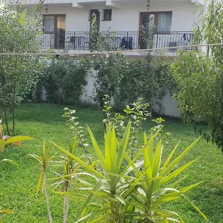 Vila Alexandra Homestay