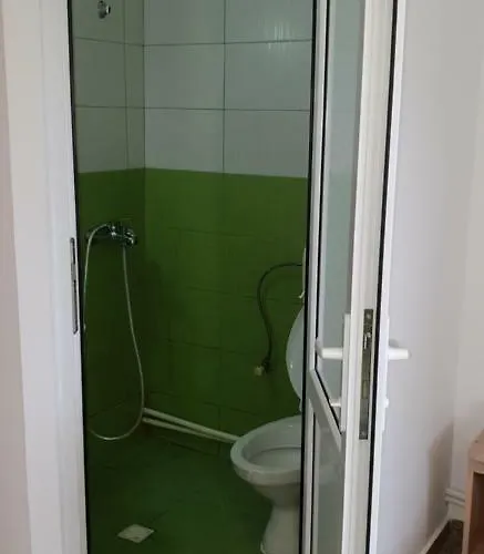 Alexandra Проживание в семье