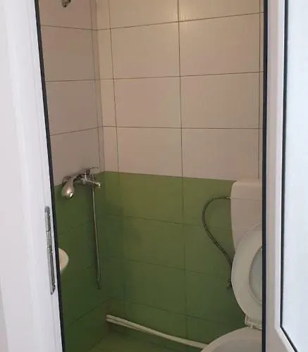 Проживание в семье Alexandra